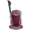 Mochila Futura 25 SL cassis-ashrose DEUTER - Imagen 9